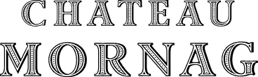 Chateau Mornag